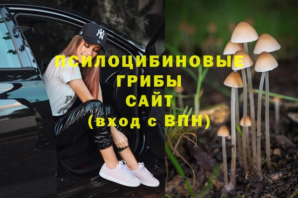 MDMA Premium VHQ Каменка
