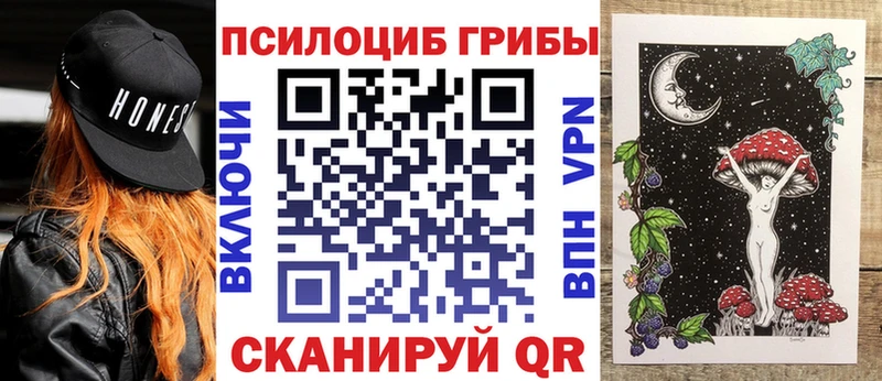 Купить закладки  Благодарный  Галлюциногенные грибы мухоморы 
